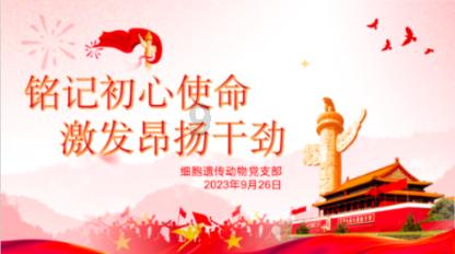 被遗忘的对象