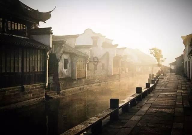 僵尸顶顶乐